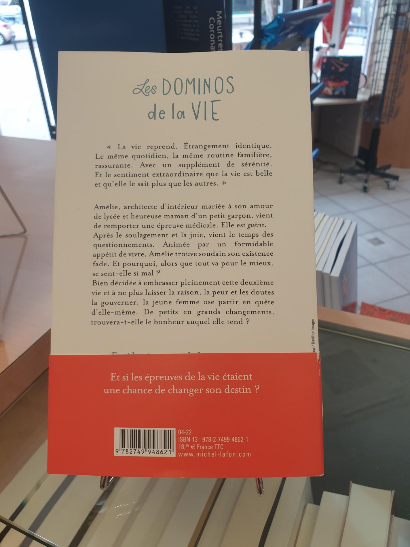 Les dominos de la vie